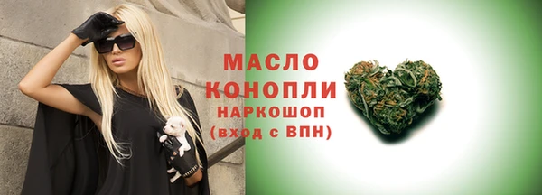 соль ск Каменка