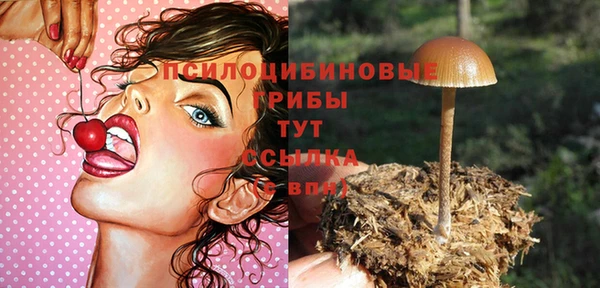 соль ск Каменка