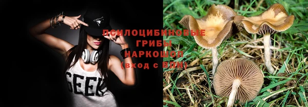 меф Каменногорск