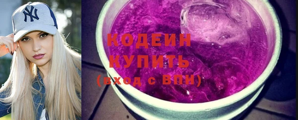 соль ск Каменка