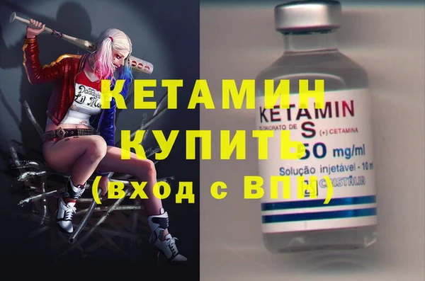 соль ск Каменка