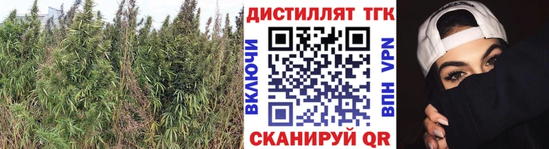 ТГК гашишное масло Новая Усмань