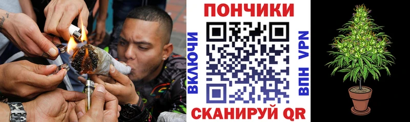 Бошки марихуана THC 21%  сколько стоит  Новая Усмань 